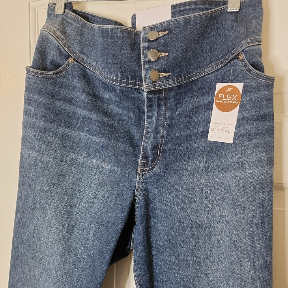 Lane Bryant Signature Fit Jegging